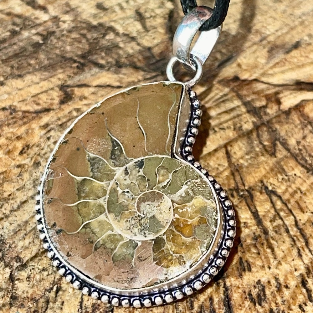 Earthy Ammonite Pendant 2”
